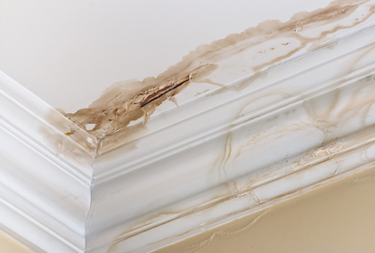 crack - water damage